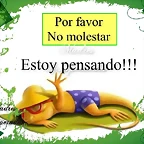 no molestar estoy pendando