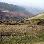 DSCN8139