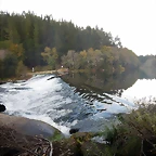 DSCN9441