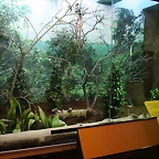 Zoo de Barcelona 18-04-11 889