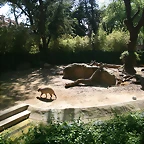 Zoo de Barcelona 18-04-11 330