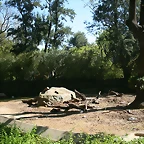 Zoo de Barcelona 18-04-11 327