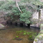 DSCN0150
