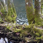 DSCN0153
