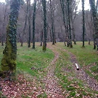 DSCN0129