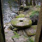 DSCN0145