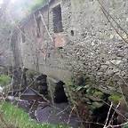 DSCN0141