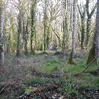 DSCN0169