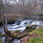 DSCN0236