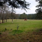 DSCN0192