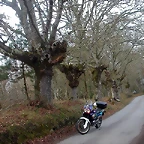 DSCN0195