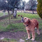 DSCN0191