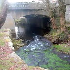 DSCN0233