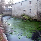 DSCN0242