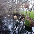 DSCN0239