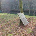 DSCN0135