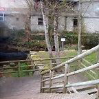 DSCN0231