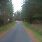 DSCN0215