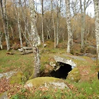 DSCN9377