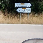 DSCN7691