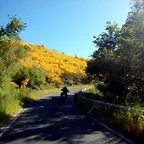 DSCN2085
