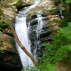 DSCN3774