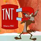 coyote-tnt