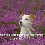Diapositiva2