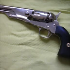 Colt