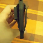 Funda cuervo (2)