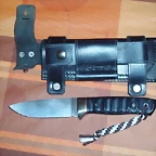 Funda cuervo (6)