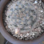 SAM_1389