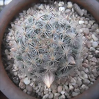 SAM_1391