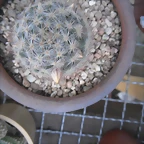 SAM_1390