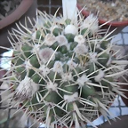 SAM_1394