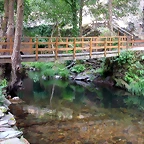 DSCN3298