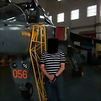 Jaguar IN