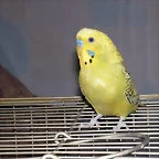 HIJITO