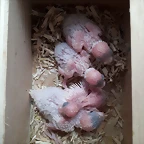 20190507_133931