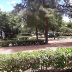 IMG-20180702-WA0017