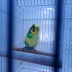 20191001_185928