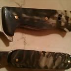 IMAG0501
