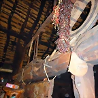 DSCN0045
