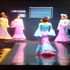 Pasarela 12-2-2015 (10)