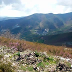 DSCN9550