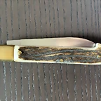 Cabriteira b