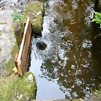 DSCN5769