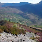 DSCN9469