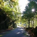 DSCN6462