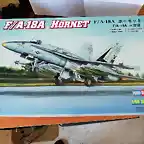 F18A HORNET